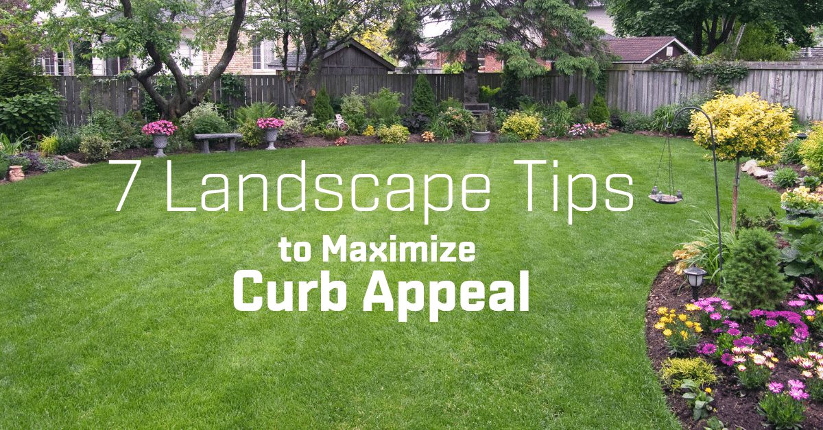 7 Landscape Tips to Maximize Curb Appeal1