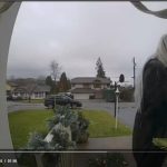 porch pirates
