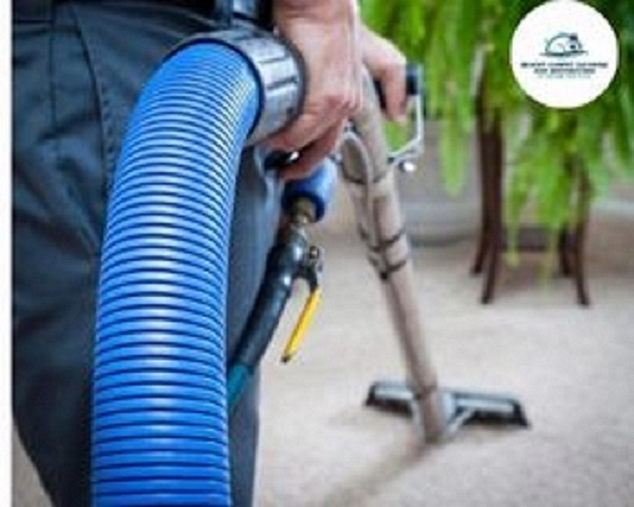 Tile and Grout Cleaning Provider in Arlington - Don't let Your Home Get Dirtier than it Needs to 1 Untitled Design 2 1