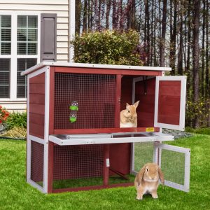Preparing For Your New Rabbit Hutch 2 Cw12M0242 Cj4 300X300 1
