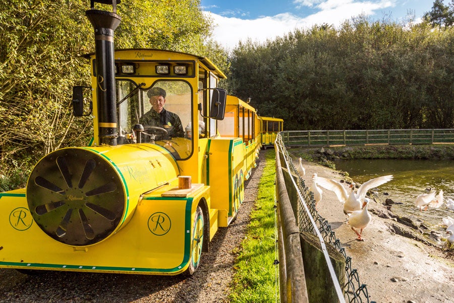 3 Best Easter Activities in Carlow You Can Still Enjoy Right Now 2 Yellow Rathwood Express Train With Driver 1
