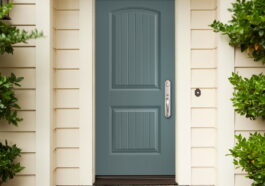 BLS 2 Panel Cheyenne BlueAsh BS